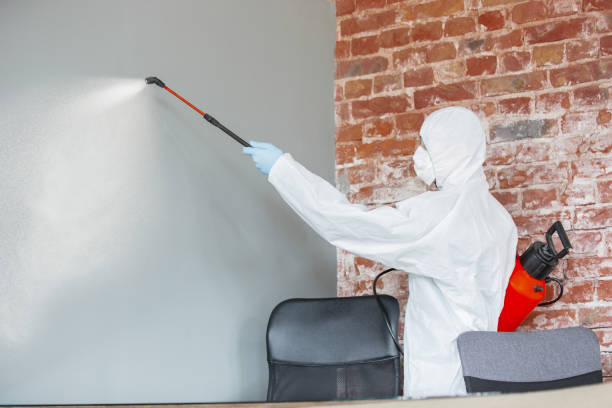 Mold Remediation for Rental Properties in Oglala, SD