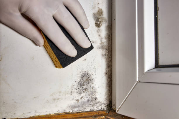 Best Residential Mold Inspection & Testing  in Oglala, SD