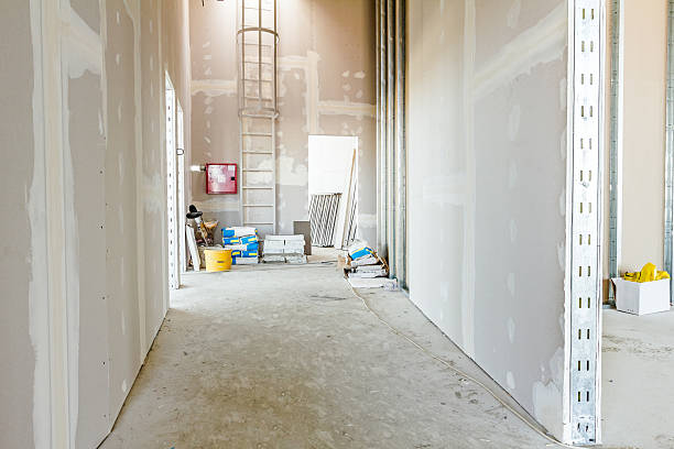 Best Post-Construction Mold Inspection  in Oglala, SD